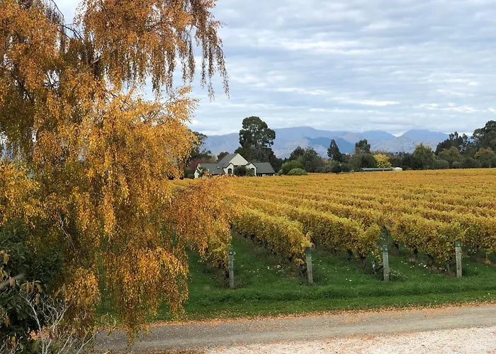 Vineyard Cottage In Blenheim On The Golden Mile
