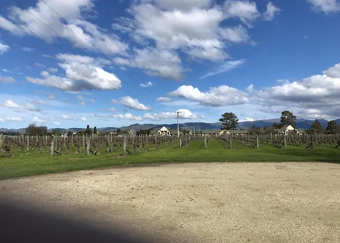 Vineyard Cottage In Blenheim On The Golden Mile
