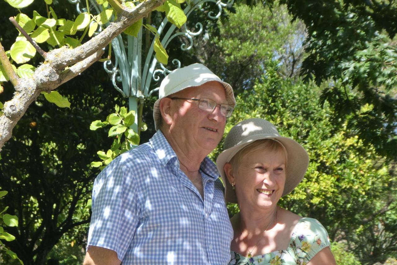 Lodge Vineyard In On The Golden Mile Blenheim