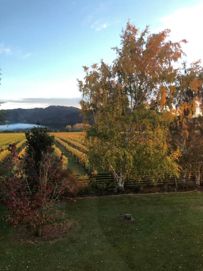 Vineyard In On The Golden Mile * Blenheim