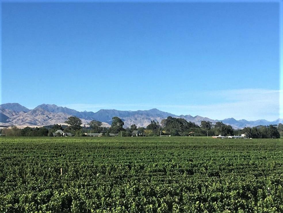 Vineyard In On The Golden Mile Lodge *