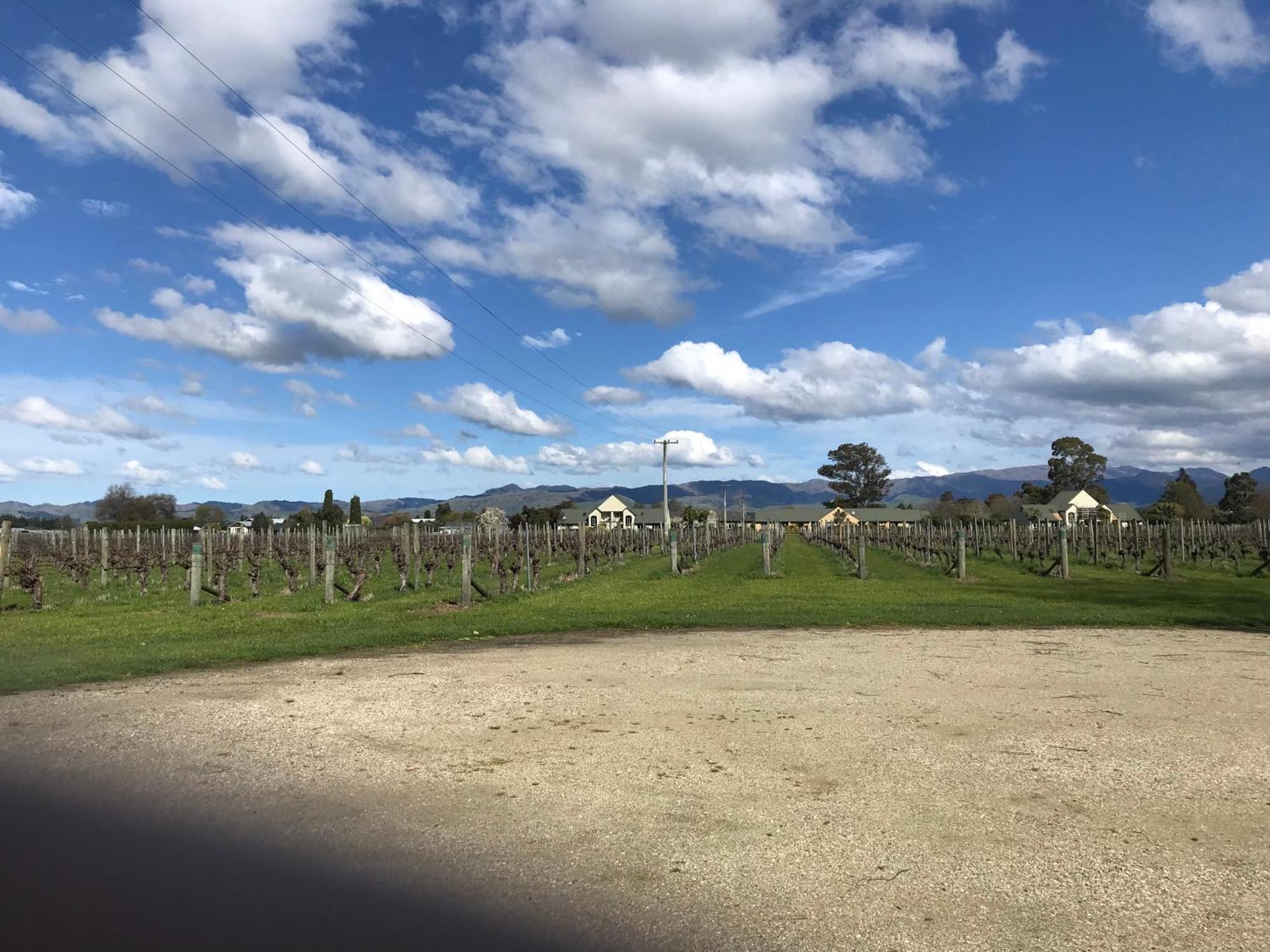 Vineyard In On The Golden Mile Lodge *